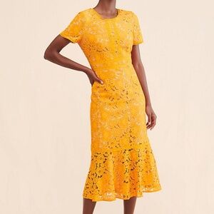 Rachel Parcell Fitted Lace Midi Dress- Size Xtra Small
